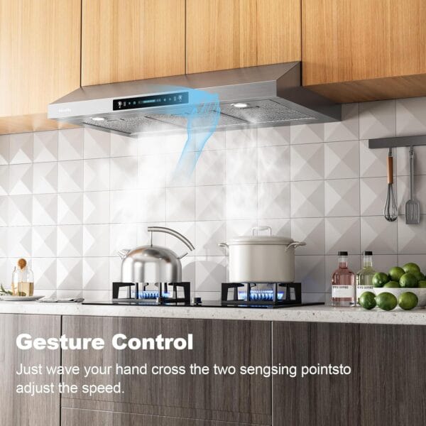 White range hood