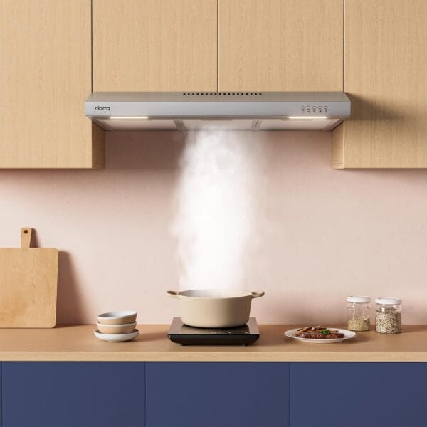 Best range hoods in 20025