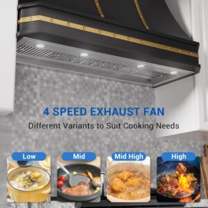 Best 48-Inch Built-in Range Hood Insert, 1150 CFM, 4-Speed Fan, LED Lights, Stainless Steel Vent Hood with Dishwasher-Safe Baffle Filters